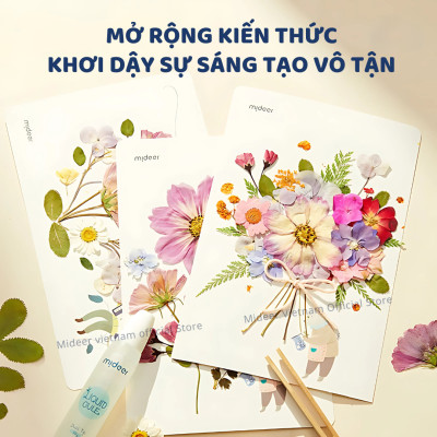 Bộ ép hoa khô, khung làm hoa khô trang trí dụng cụ handmade Mideer Nature Art Discovery Collection