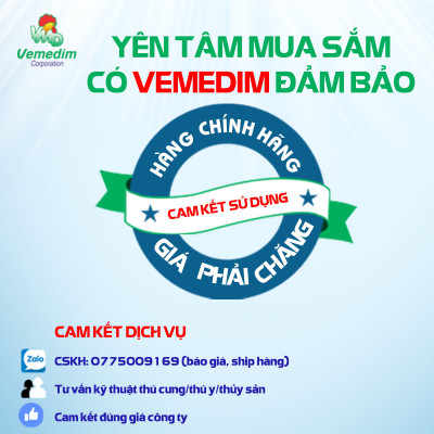 Vemedim Pet Amox Plus trị hô hấp, tiêu chảy vết thương ở chó mèo, chim cảnh, lọ 3g