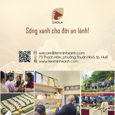 Cao tinh dầu Sao la (Saola Essential Oil Balm) 11g - Hỗ trợ giảm đau lưng, nhức mỏi, đau khớp, giúp ngủ ngon. Sản phẩm sản xuất từ các loại dược liệu thiên nhiên - Hàng Chính Hãng