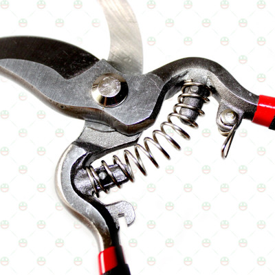 [Nhanh Gọn] Kéo Cắt Tỉa Cành Cây Lưỡi Cong KhoNCC Hàng Chính Hãng - Giúp Việc Cắt Hiệu Quả Hơn - KLVQ-KCTCC