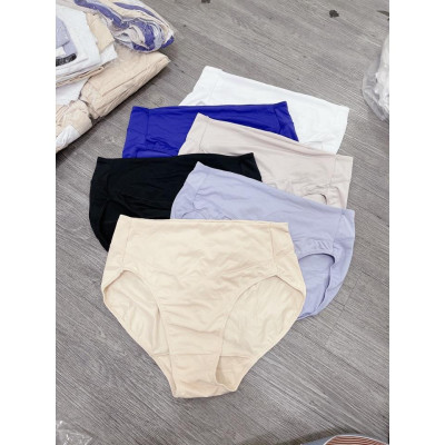 Quần Lót Nữ Big Size Lưng Cao 2 Lớp Hanes BM40AS – Che Bụng, Co Giãn Tối Đa, Mặc Cả Ngày Thoải Mái