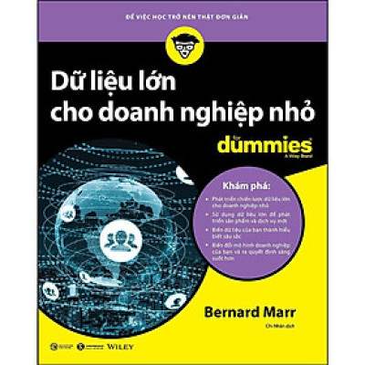 Sách - Dữ Liệu Lớn Cho Doanh Nghiệp Nhỏ For Dummies - Thái Hà Books