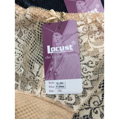 Combo 5 Quần Lót Nữ Ren Cao Cấp Locust 083 – Thoáng Mát, Quyến Rũ, Đa Dụng