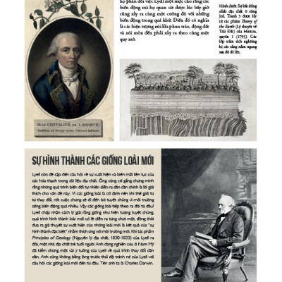 Những Trí Tuệ Vĩ Đại - Darwin Nhà Tự Nhiên Học, Hành Trình Vĩ Đại Và Thuyết Tiến Hóa