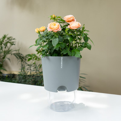 Chậu tự tưới A712 Monrovia thông minh, tiện lợi, trang trí không gian trong nhà, nhiều màu sắc