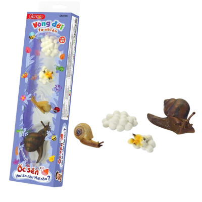 Đồ Chơi Duka: Vòng Đời Tự Nhiên - Khám Phá Môi Trường