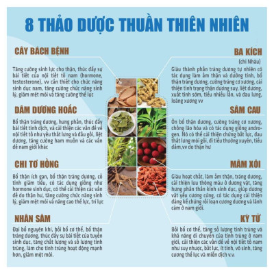 TPBVSK Viên Bổ thận - Thiên Sư