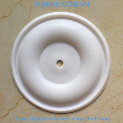 Màng Teflon QBY3-32-40TFLGM