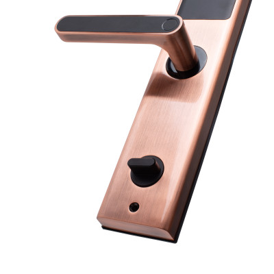 Khóa điện tử vân tay Makoto dòng Bushido 360 màu đồng Ngôn ngữ hoàn toàn Tiếng Việt