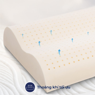 Gối Cao Su Liên Á Contour LAGC3050 (30 x 50 cm) - Trắng