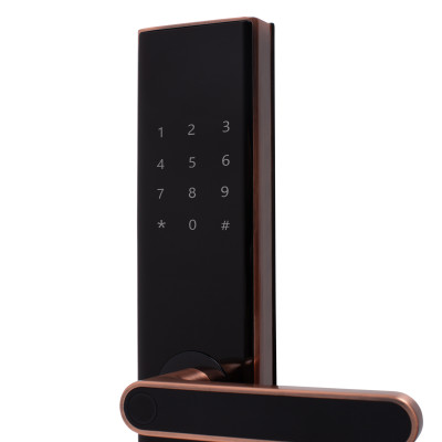 Khóa điện tử vân tay Makoto dòng Bushido 360 màu đồng Ngôn ngữ hoàn toàn Tiếng Việt