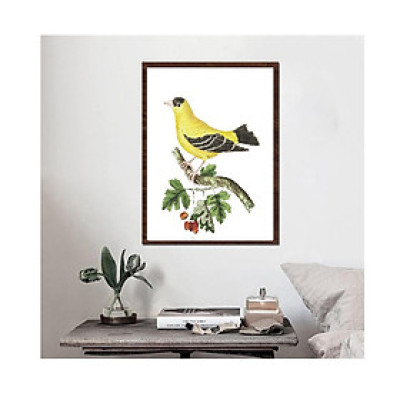 Tranh canvas treo tường  phong cách vintage cổ điển,- bird golden finch,Tranh Canvas PVP-DC164, Kèm khung màu gỗ.