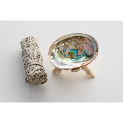 Sét 3 món xô thơm trắng white sage + 1 vỏ ốc Ô4 8cm + 1 chân gỗ xoài