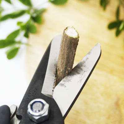 Kéo cắt cành cao cấp Nhật Bản Chikamasa JP-2000 chiều dài lưỡi 45mm - lưỡi thép carbon chất lượng cao siêu bén - cắt ngọt, không bám dính, liền sẹo nhanh