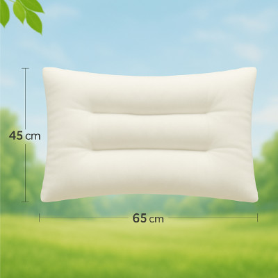 Ruột gối định hình thư giãn cổ, massage cổ, chống ngáy 45x65 cm