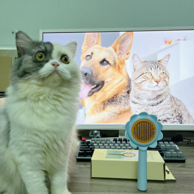 Lược chải lông gỡ rối cho chó mèo hình hoa dướng dương có nút bấm đẩy lông thừa