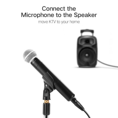 Ugreen UG20717AV131TK 1M màu Đen Cáp âm thanh 6.5mm sang cannon âm - HÀNG CHÍNH HÃNG