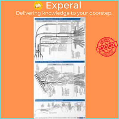 Sách - Neurology Pocketcard Set by Sebastian Stuckrad-Barre (US edition, paperback)