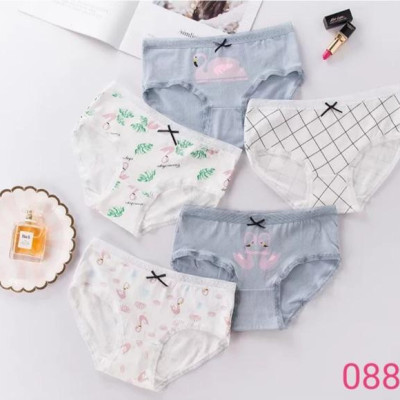Combo 5 Quần Lót Nữ Cotton Dễ Thương 088 – Mềm Mại, Thấm Hút, Co Giãn