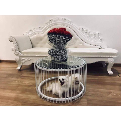 Bàn sofa lồng tròn sang trọng thanh lịch, thích hợp với phòng khách, phòng làm việc