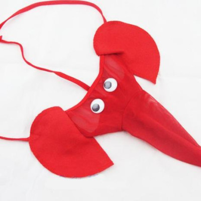 Combo 3 quần lót nam kiểu dáng sexy họa tiết hình con voi