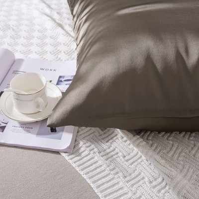 Cặp Vỏ Gối Lụa Cao cấp A - 50x70cm hoặc 60x80cm - mềm mịn mát lạnh