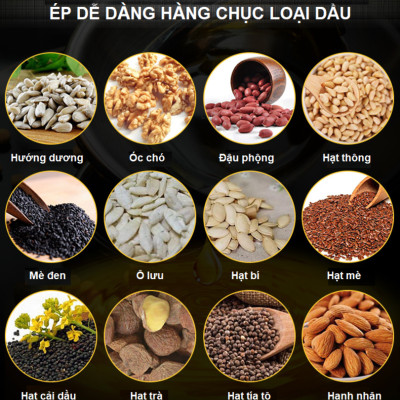 BH 12 THÁNG - Máy ép dầu thực vật chuyên dụng màn hình kỹ thuật số, dùng trong gia đình. Thương hiệu Mỹ cao cấp Septree - X8S. HÀNG CHÍNH HÃNG