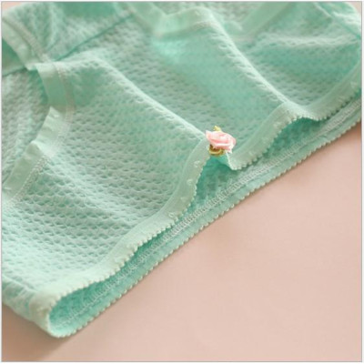 COMBO 10 QUẦN BÔNG THUN XỐP SIÊU XINH 1456