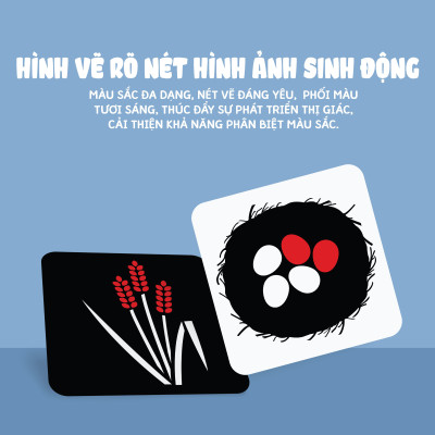 Sách - Thẻ Siêu Kích Thích Thị Giác Cho Trẻ Sơ Sinh - Bộ Thẻ Giúp Bé 0-3 Tuổi Phát Triển Toàn Diện