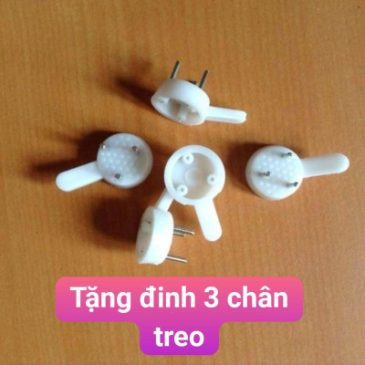 Tranh canvas hoa sơn dầu - tranh treo tường siêu đẹp - tranh canvas căng khung gỗ tràn viền - tặng kèm đinh 3 chân