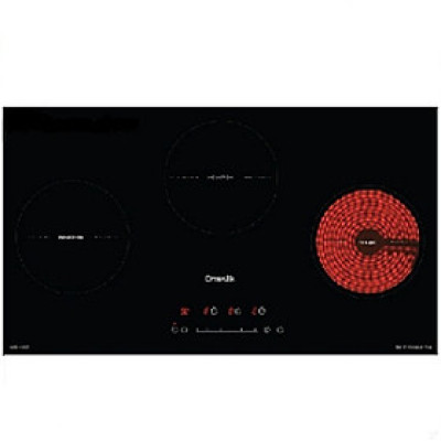 Bếp Điện Từ D