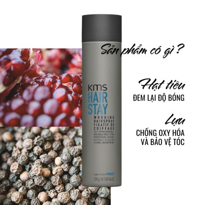 Gôm Tạo Kiểu Giữ Nếp Linh Hoạt Goldwell KMS Working Hairstay Giữ Nếp Lâu, Dễ Dùng, Không Dính 300ml