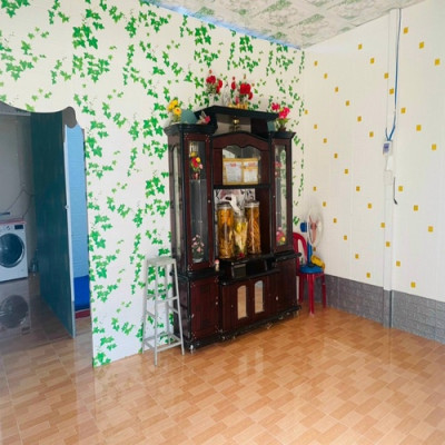 Bộ 5 Tấm Xốp Dán Tường Vân Gỗ Dây Leo Cách Âm, Chống Va Đập, Bền Đẹp, Sang Trọng