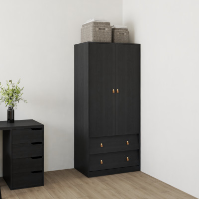 HAPPY FURNITURE , Tủ quần áo 2 cửa mở 2 ngăn kéo - CALYN , TCM_253 , 80cm x 54cm x 180cm DxRxC