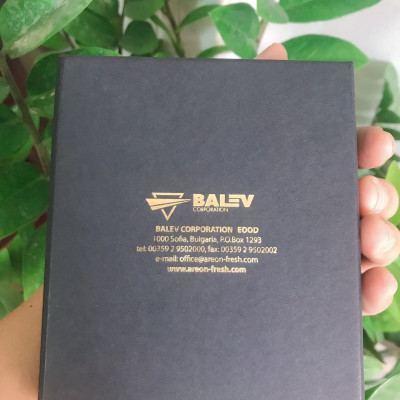 Túi thơm da VIP – Areon Gold Star ( Đẳng cấp )