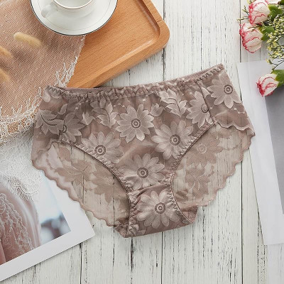 COMBO 5 QUẦN LÓT NỮ BÔNG ÉP HOA CÚC SEXY 817