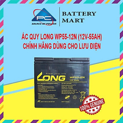 Ắc Quy LONG WP55-12N (12V-55Ah)