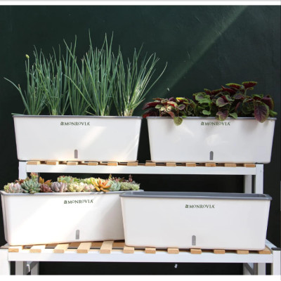 Chậu trồng cây tự tưới hình chữ nhật MONROVIA SC06, chất liệu PP cao cấp, phù hợp trồng hoa, rau