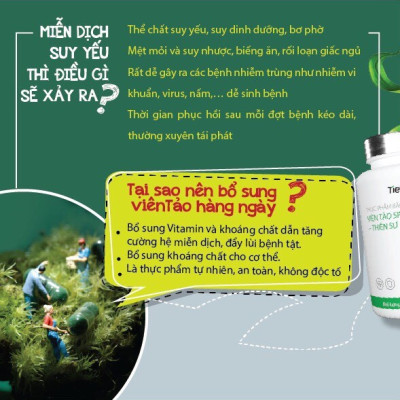 Thực Phẩm Bảo Vệ Sức Khỏe Viên Tảo Spirulina - Thiên Sư. Thực phẩm vàng cho người đau dạ dày, Chống suy nhược cơ thể Tăng cường miễn dịch.