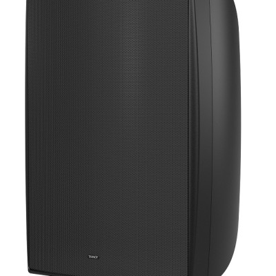 Loa Treo Tường TANNOY DVS 8T -- 8" công suất 70 -280 Watts-Hàng Chính Hãng 