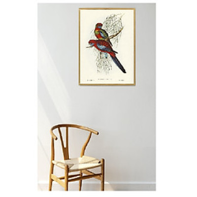 Tranh canvas treo tường Chim phong cách vintage cổ điển-Chiem vẹc miền nhiệt đới,Tranh Canvas PVP-DC162, Kèm khung màu gỗ.