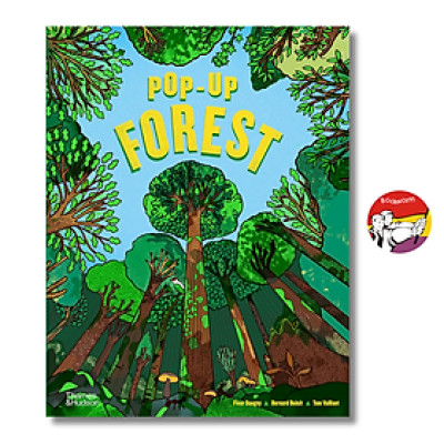 Sách - Pop-Up Forest by Tom Vaillant | Children Book in English / Ngoại văn Thiếu nhi Nhập khẩu