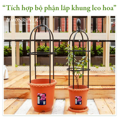 Chậu trồng cây Decor trang trí thương hiệu MONROVIA chuyên cho Hoa, hoa hồng, kèm đĩa lót thông minh, thiết kế tinh tế, tiêu chuẩn Châu Âu