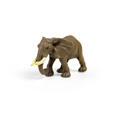 Đồ Chơi Mô Hình 12 Động Vật Hoang Dã CollectA -1 - CollectA A1105