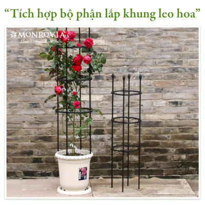 Chậu trồng cây Decor trang trí thương hiệu MONROVIA chuyên cho Hoa, hoa hồng, kèm đĩa lót thông minh, thiết kế tinh tế, tiêu chuẩn Châu Âu