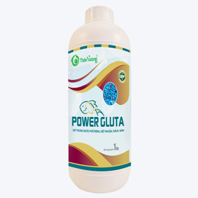 POWER GLUTA - Xử lý nước phổ rộng, diệt khuẩn, virus, nấm