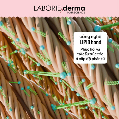 Mặt nạ phục hồi dành cho tóc hư tổn LABORIE derma Molecular Repair Hair Mask 100ml