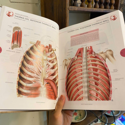 Sách - Human Anatomy by Jordi Vigue | Medical Science / Reference Nonfiction / Ngoại văn