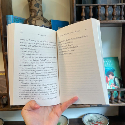 Sách - The Next Person You Meet In Heaven by Mitch Albom/ Tiểu thuyết tiếng Anh/ Fiction/ English