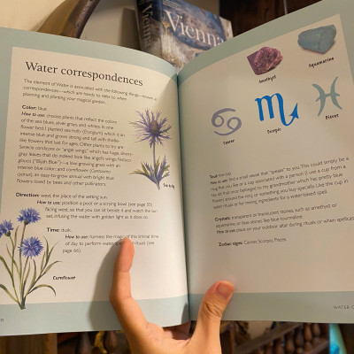 Sách - Your Magical Garden: Harness the Power of the Elements by Clare Gogerty | English Book